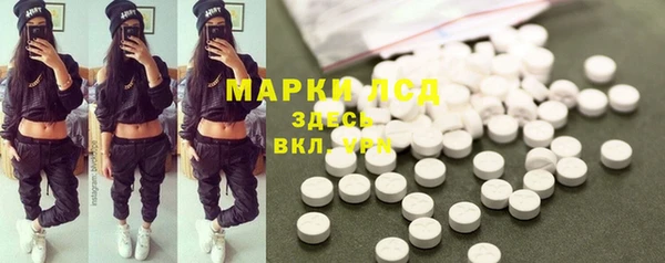 PSILOCYBIN Богородицк