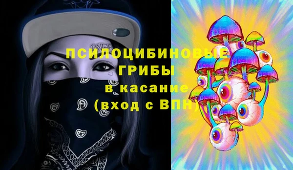 PSILOCYBIN Богородицк
