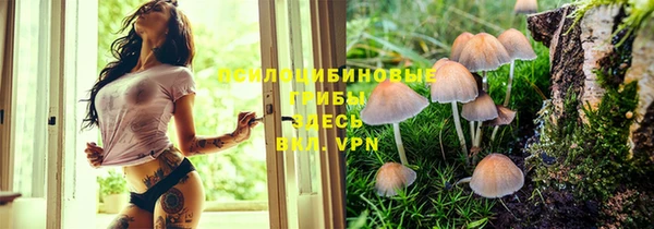 MDMA Богданович
