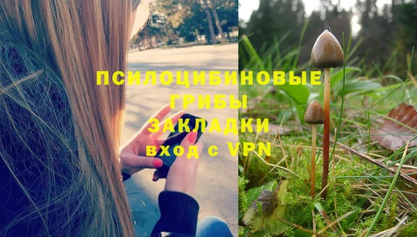 PSILOCYBIN Богородицк