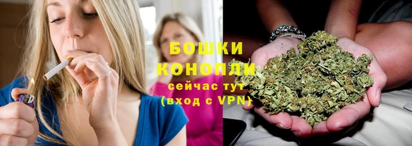 PSILOCYBIN Богородицк