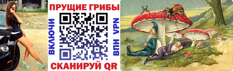 купить наркотик  Кремёнки  Псилоцибиновые грибы мицелий 